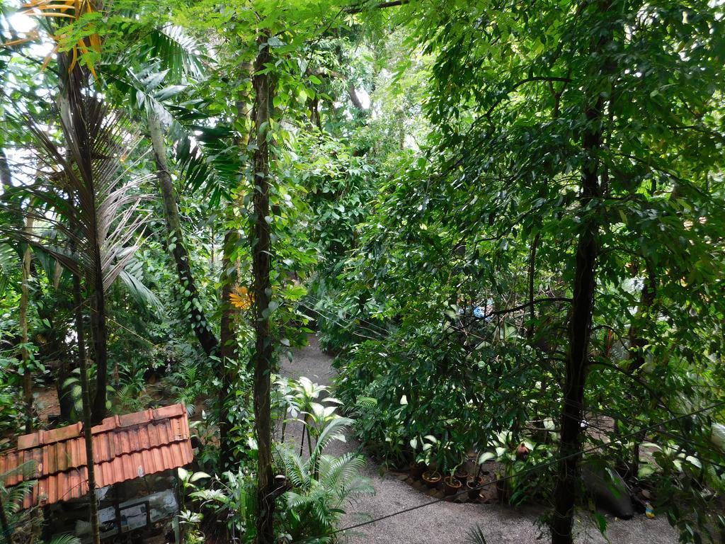 Green Woods Bethlehem Kochi Exterior foto