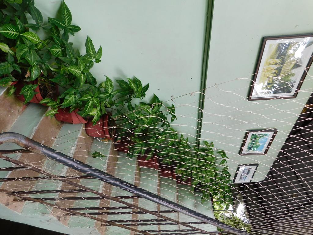 Green Woods Bethlehem Kochi Exterior foto